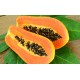 Papaya Powder Pouch